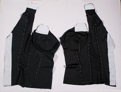 Inside of Body of Lining and Fashion Fabric